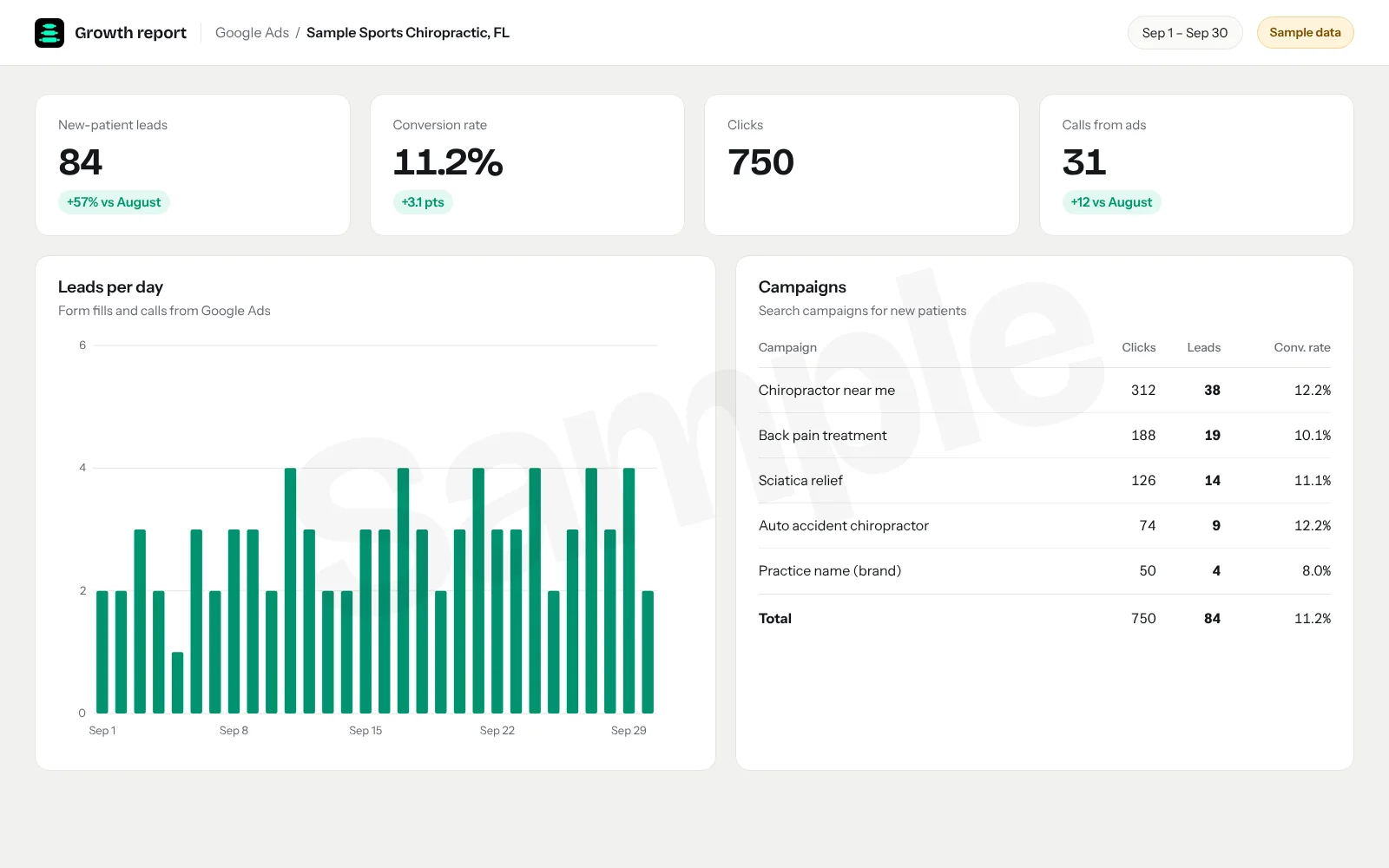 Google Ads screenshot: New-patient leads from Google Ads in one month